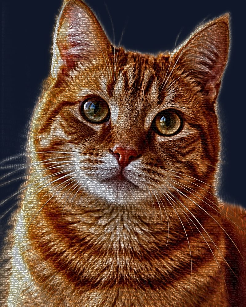 Orange tabby cat word art portrait
