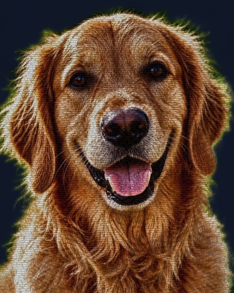Golden Retriever word art portrait