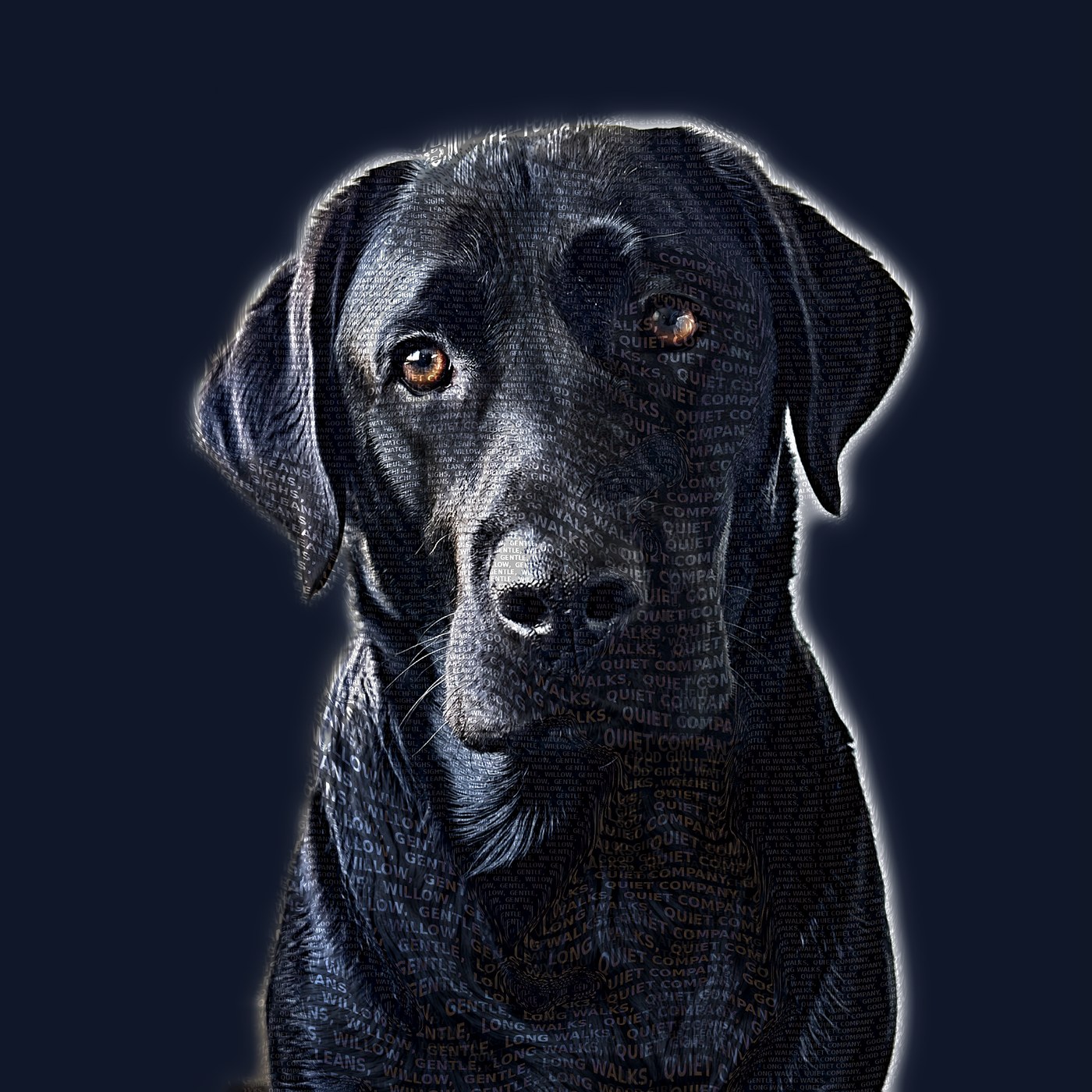Black dog word-portrait