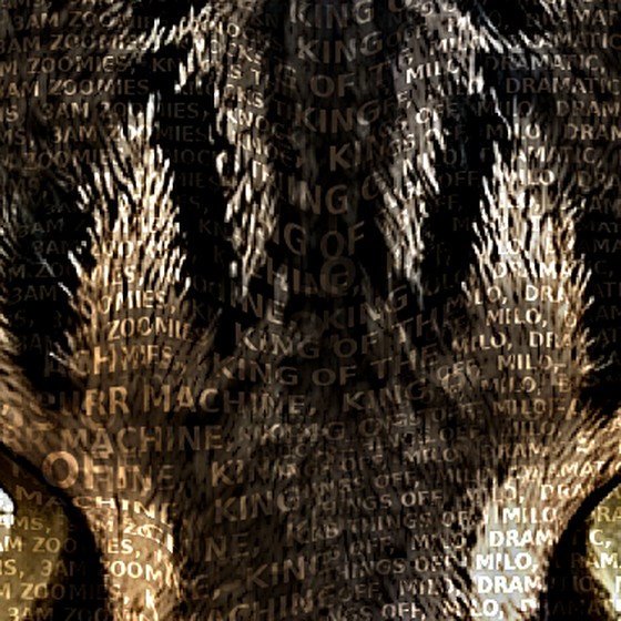 Close-up: the portrait is made entirely of words