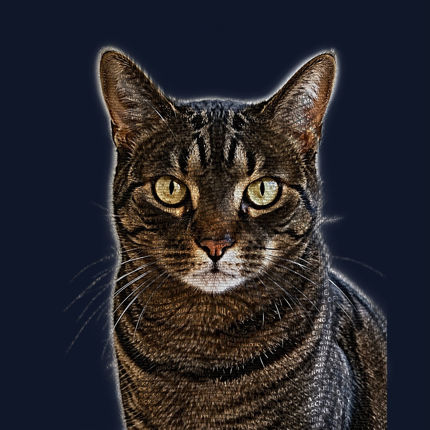 Cat word-portrait