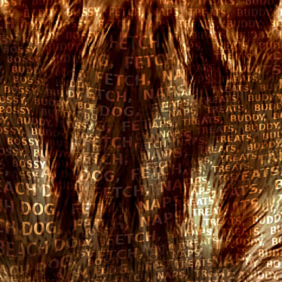 Close-up: the portrait is made entirely of words
