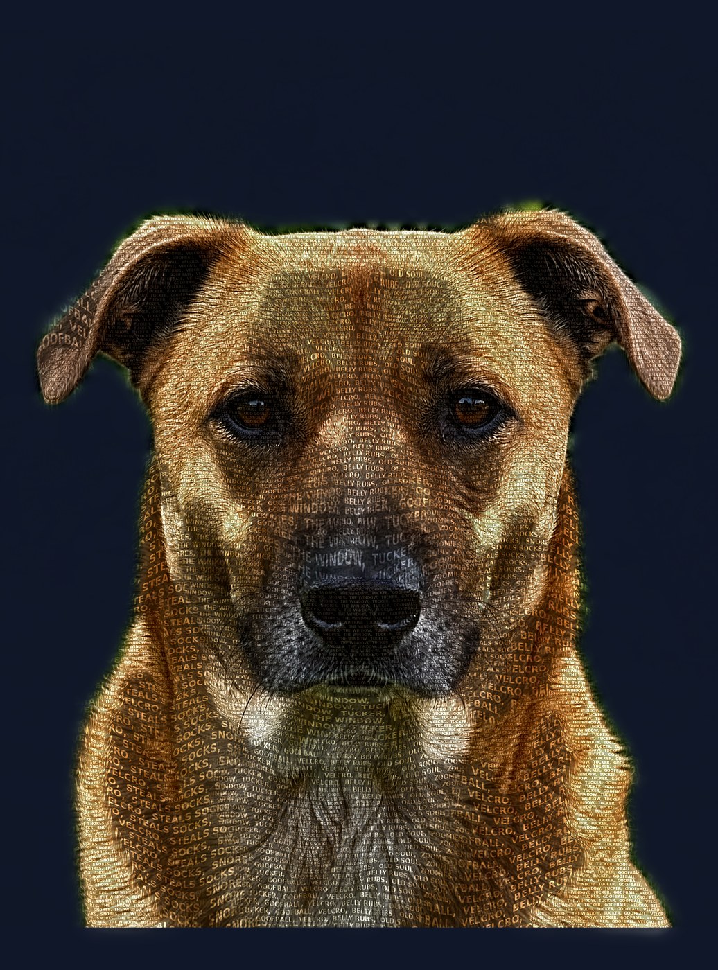 A dog portrait made of words